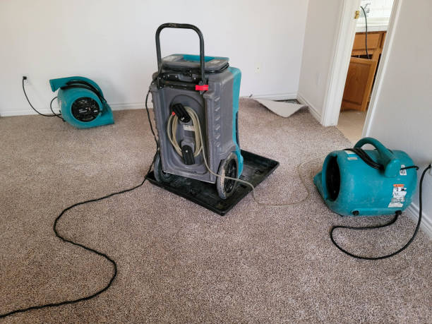 Best Water damage restoration near me  in Nottingham, PA