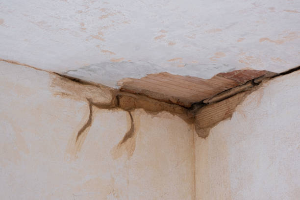 Best Carpet water damage restoration  in Nottingham, PA