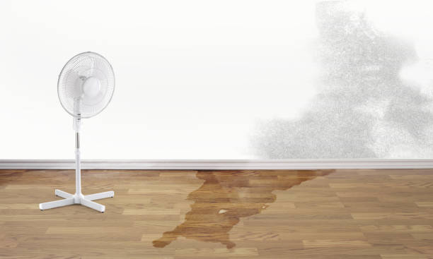 Best Emergency water damage restoration  in Nottingham, PA