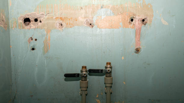 Best Water damage cleanup near me  in Nottingham, PA