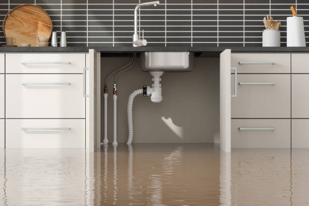 Best Flood restoration services  in Nottingham, PA